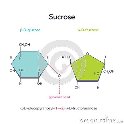 Sucrose disaccharide table sugar vector illustration structure diagram Stock Photo