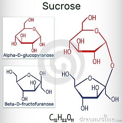 Sucrose sugar molecule. Structural chemical formula and molecule model Vector Illustration