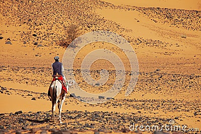 Sudanese camel rider Editorial Stock Photo