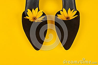 Suede black court shoes with yellow Topinambur flower bud inside toe, yellow background, womanhood Stock Photo