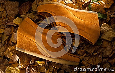 Suede shoes Stock Photo