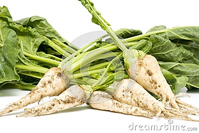 Sugar beet Stock Photo