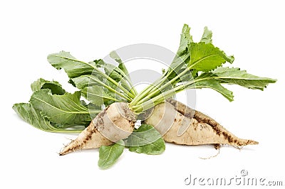 Sugar beet Stock Photo