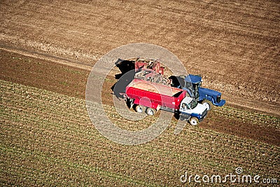 Sugar Beet harvest on an Idaho farm. Editorial Stock Photo