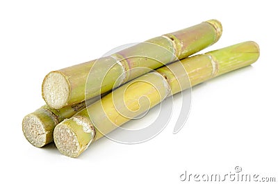Sugar cane Stock Photo
