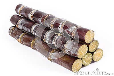 Sugar cane Stock Photo