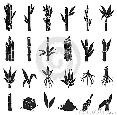 Sugar cane black vector illustration on white background.Sugarcane set icon.Vector illustration of sweet sugar.Set icon Vector Illustration