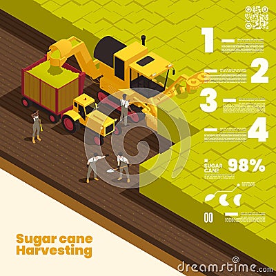 Sugar Cane Harvesting Isometric Background Vector Illustration