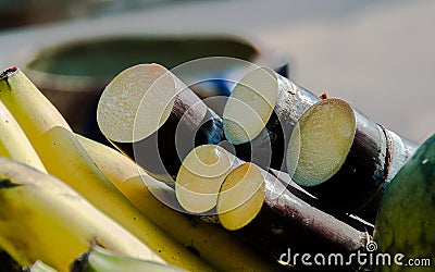 Sugar cane Stock Photo