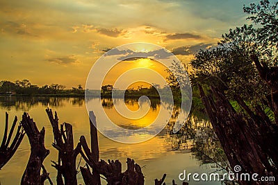 Sugar cane sunset land Stock Photo