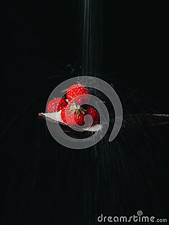 Sugar falls on strawberries on black background, selective focus.Sugar being poured on a strawberry with a dark background Stock Photo