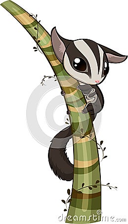 Sugar glider Vector Illustration