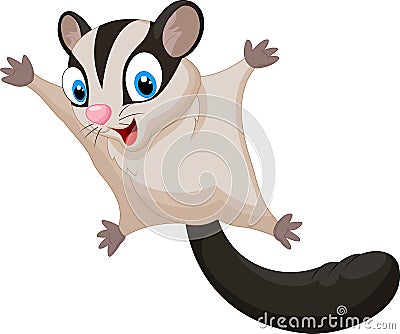 Sugar glider cartoon Vector Illustration