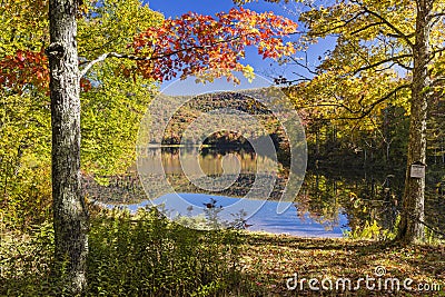 Sugar Maples on Colorful Catskills Lake Stock Photo