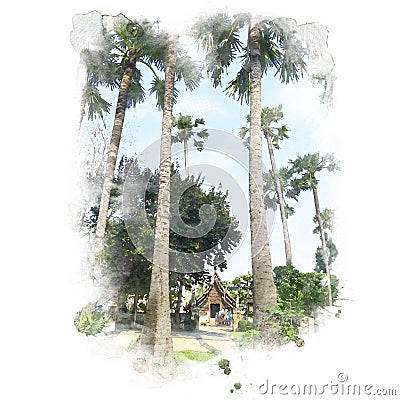 Sugar palm and temple. Stock Photo