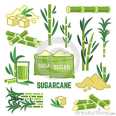 Sugar plant agricultural crops, cane leaf, sugarcane juice vector icons Vector Illustration