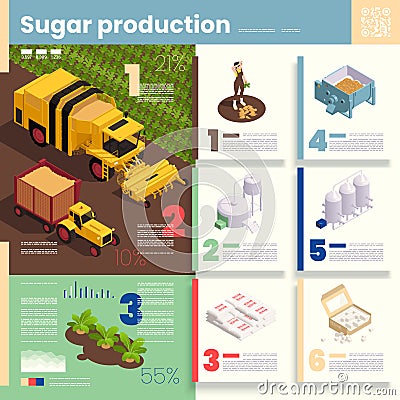 Sugar Production infographics Illustration Vector Illustration