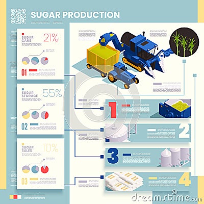 Sugar Production Infographics Vector Illustration