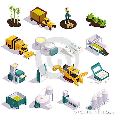 Sugar Production Isometric Set Vector Illustration