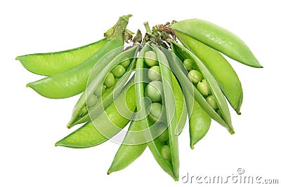 Sugar Snap Peas Stock Photo