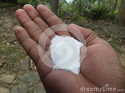 Sugar in Srilanka Stock Photo