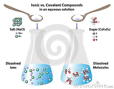 Ionic versus Covalent Compounds in solution Vector Illustration