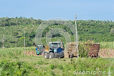 Sugarcane harvest on the field with a combine harvester. - Serie Cuba reportage Stock Photo