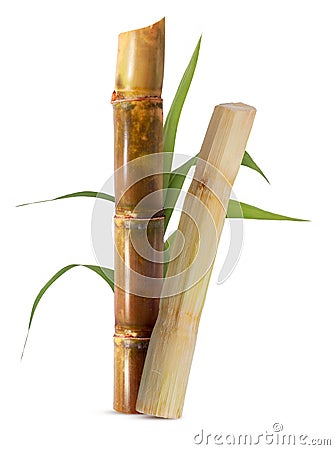 Sugarcane isolated on white background Stock Photo