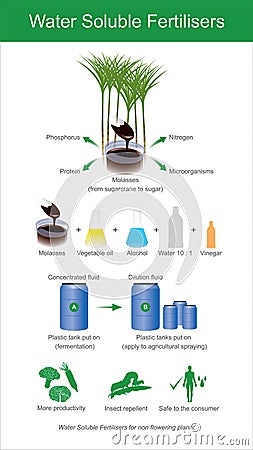 Sugarcane molasses is fermented to produce microorganisms. Stock Photo