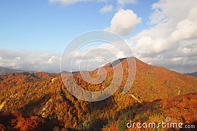 Sugawa and Autumn leaf color Stock Photo