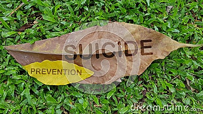 Suicide Prevention concept using dried leaves Stock Photo