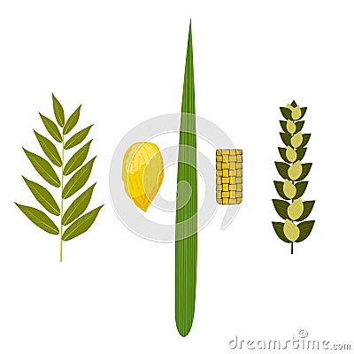 Sukkot. Judaic holiday. Traditional symbols - Etrog, lulav, hadas, arava. Stock Photo