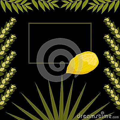 Sukkot. Judaic holiday. Traditional symbols - Etrog, lulav, hadas, arava. Frame for your text. Black background Stock Photo