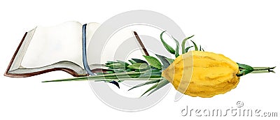 Sukkot traditional plants with open Torah book watercolor illustration. Four species willow myrtle, etrog citron fruit Cartoon Illustration