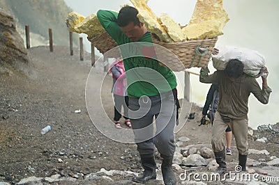 Sulfur miners ijen crater every day take a steep road Editorial Stock Photo