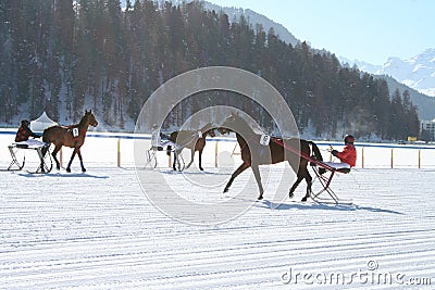 Sulky Race Editorial Stock Photo