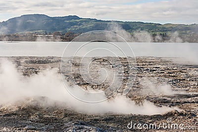 Sulphur Bay at lake Rotorua Stock Photo