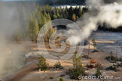 Sulphur Caldron, Yellowstone Stock Photo