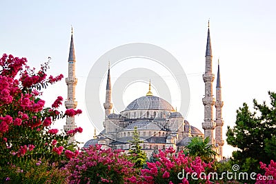 Sultanahmet, Blue Mosque Stock Photo