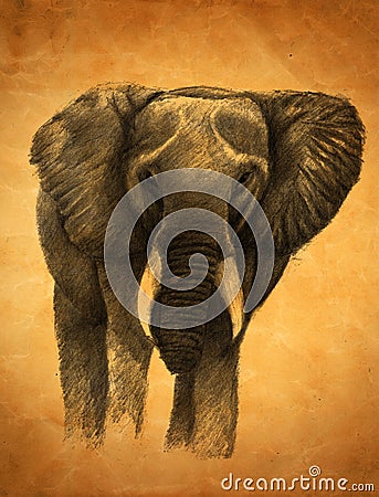 Sumatera Elephant Stock Photo