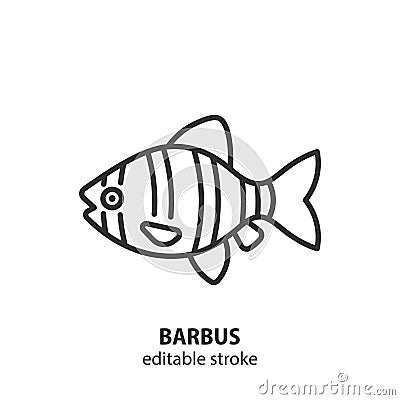 Sumatran barb fish line icon. Tiger barbus vector sign. Editable stroke Vector Illustration