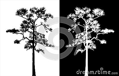 Sumatran pine tree silhouette vector. Vector Illustration