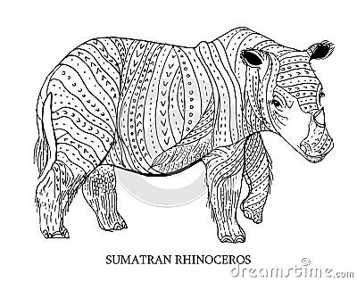 Sumatran rhinoceros. Rare animal, conservation status. Vector illustration Vector Illustration