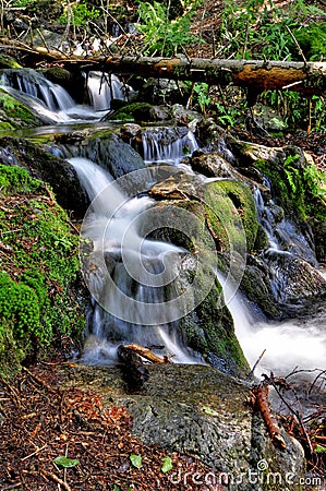 Sumava stream Stock Photo