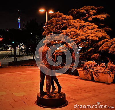 A sumer night kiss in front of Seoul Tower Editorial Stock Photo