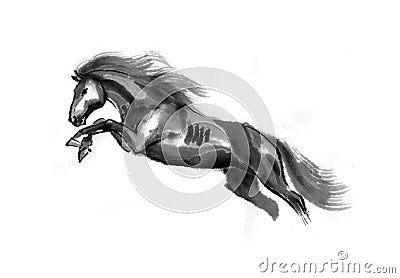 Sumi-e horse illustration Cartoon Illustration