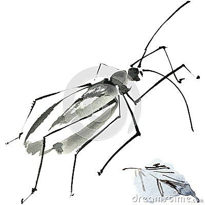 Sumi-e ink insect Cartoon Illustration