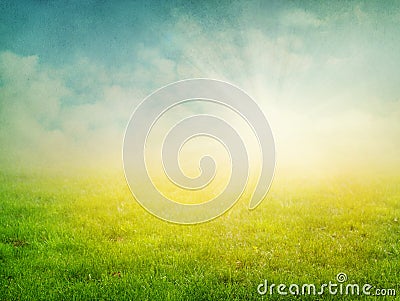 Summer abstract nature background Stock Photo