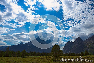 Summer afternoon landscape of a meadow of trees in front of the Cathedral Group Stock Photo