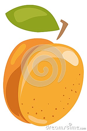 Summer apricot icon. Cartoon sweet healthy fruit Vector Illustration